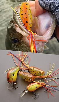 ディープフォレスト Deep Forest ミクラ 4色セット ディープフォレスト