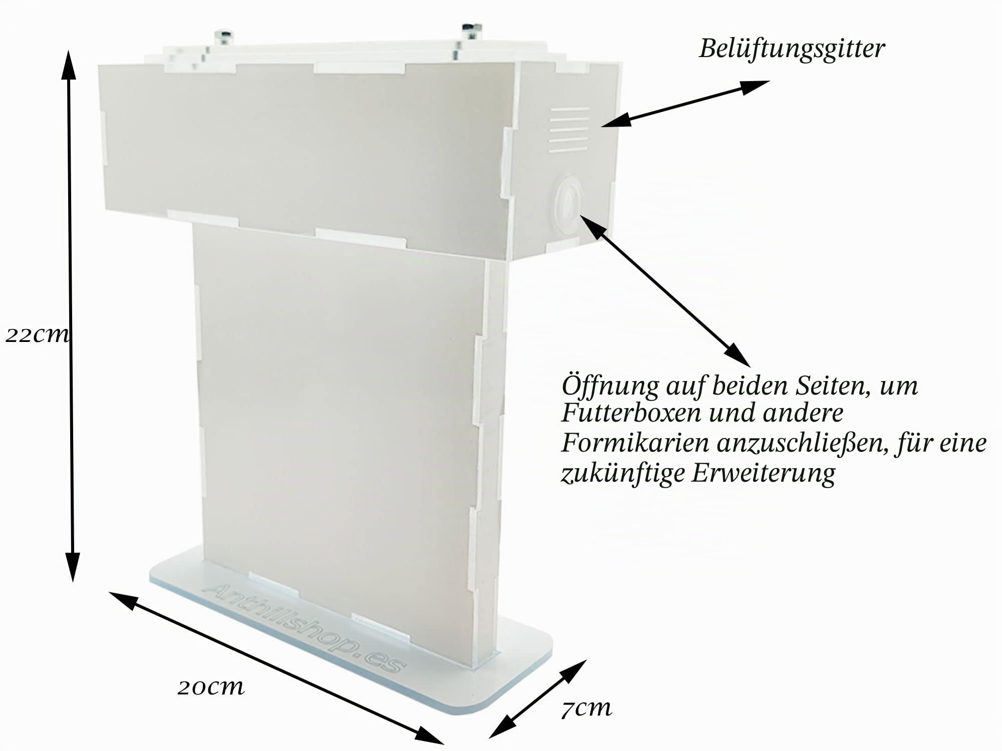 Kleiner Ameisenhaufen aus Natursand (Acryl) – mit Ameisen ┃ von 20 – 30 Ameisen.