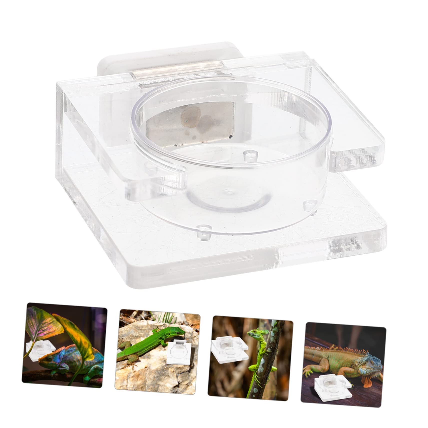 INOOMP 4 Pz Bacino Alimentare del Bacino Idrico Mangiatoia per Rettili Cibo per Lucertole Bacino di Alimentazione dei Lombrichi Alimentatore per Rettili Mangiatoia per Gechi Plastica
