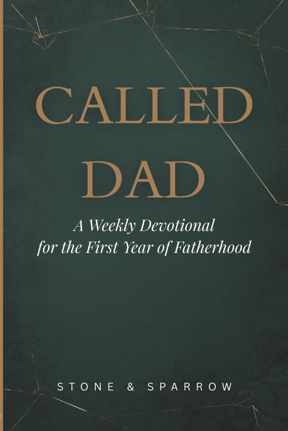 Called Dad: A Weekly Devotional for the First Year of Fatherhood
