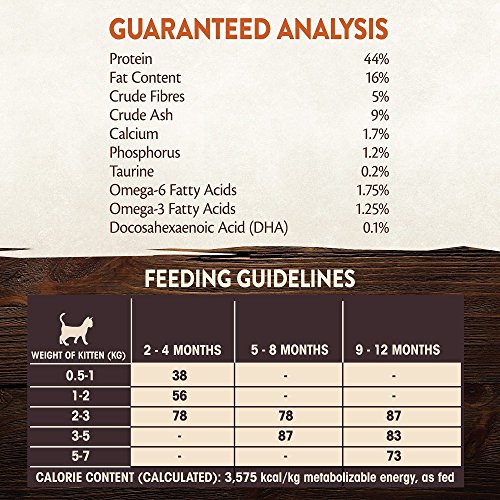 Wellness CORE Kitten Original, 300g, Turkey & Chicken, Kitten Dry Food, All-Natural, Grain-Free, High Meat Content, Protein-Rich, Supports Brain & Eye Development (Pack of 2) - Image 7