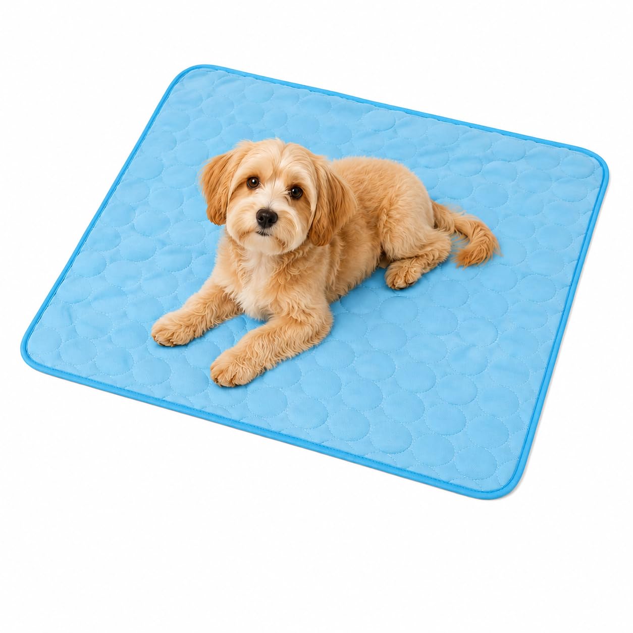ZZGLJYA Cooling Mat for Dogs Cats, Self-Cooling Ice Silk Pet Pad with Anti-Scratch & Breathable Bottom, Machine Washable Durable Cool Mat for Summer, Blue XXL