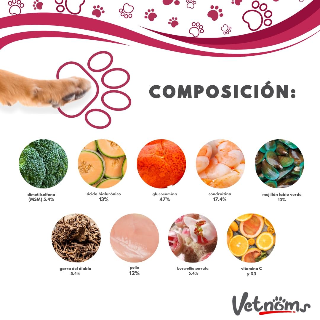 Condroprotector Perros con Msm - Antiinflamatorio Perros, Glucosamina Condroitina Perros. Condoprotectores Perros Grandes. Fortalece Articulaciones Perro. Condoprotectores Perros.