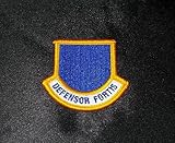 Air Force Defenders of The Force USAF Security Forces Officer Beret Flash Patch