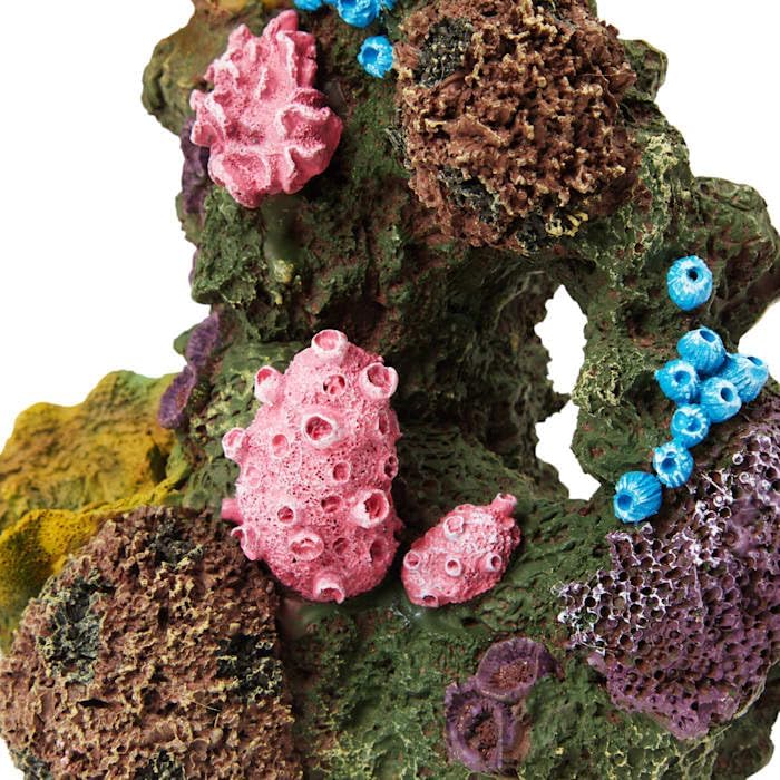imagitarium by Petco Coral Aquarum Decor 6.5" H