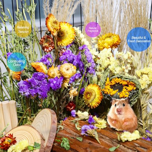Alwz-Rdy Natural Hamster Bedding, Hamster Herbs Flowers For Hamster Cage Enclosure Habitat Decor Hamster Sprays For Dwarf Syrian Guinea Hamsters Gerbil Degus Or Other Small Animals thumb #1