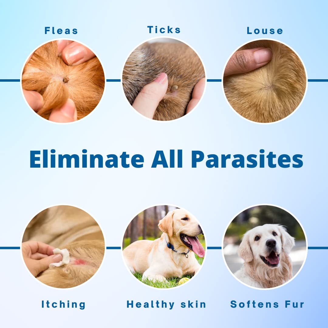 VetSafe Massage Oil for Dogs & Cats 200 ml | Pain & Anxiety Relief | Herbal Calming Massage Oil | Joint Support & Stress Relief | Skin, Coat & Allergy Care 4