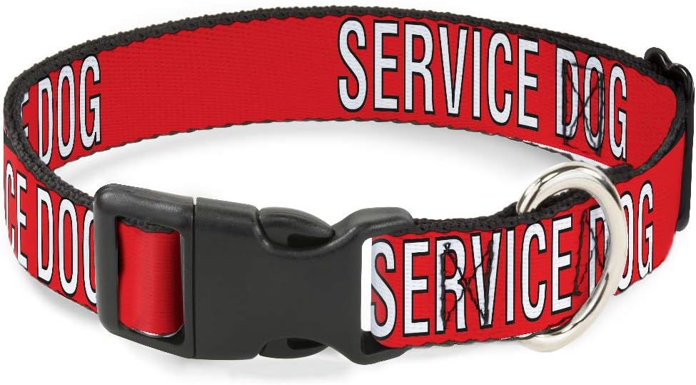 Buckle-Down Pet Collar, Dog Collar Plastic Buckle, Service Dog Text Red Black White, 20 to 31 Inches 1.5 Inch Wide