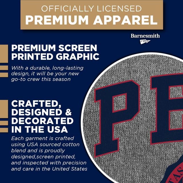 Image of Ivysport Crewneck Sweatshirt for College, Heritage Logo, Color, Adult Unisex