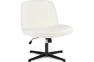 OLIXIS Teddy Desk Chair