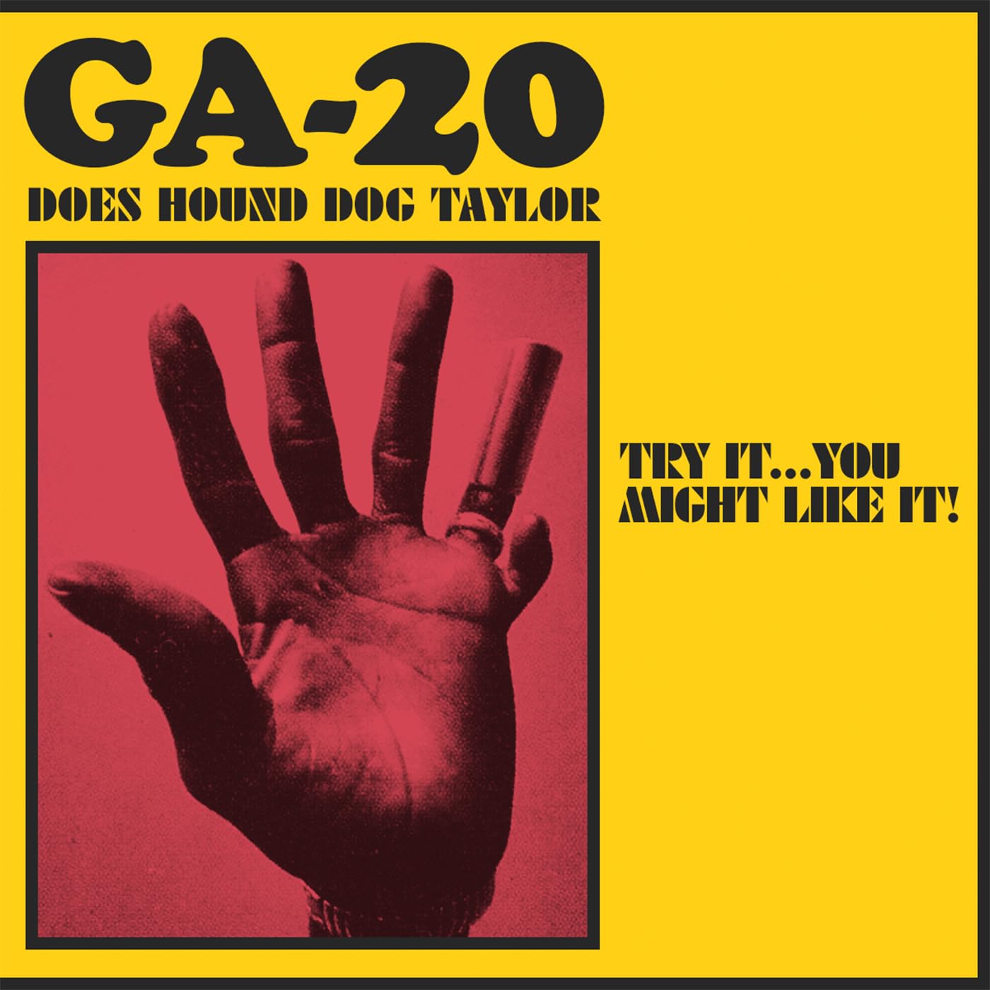 Does Hound Dog Taylor:Try It..You Might Like It [VINYL]