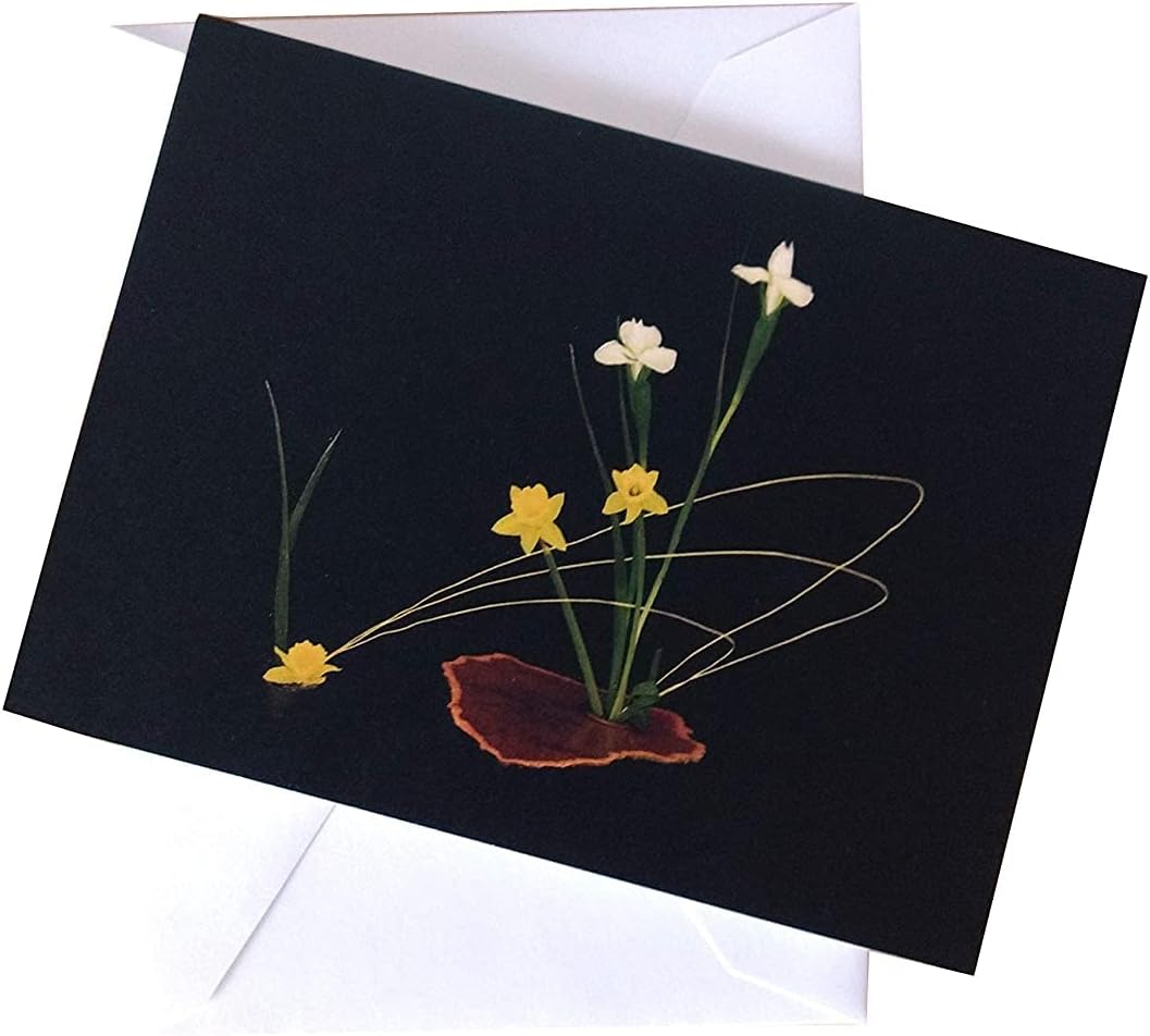 Large Sympathy Card, Eco Friendly Recycled Paper Condolence Card, Thinking of You Original Art Greeting Card with Ikebana Flower Photo (Set of 5 Cards and Envelopes, variety pack)