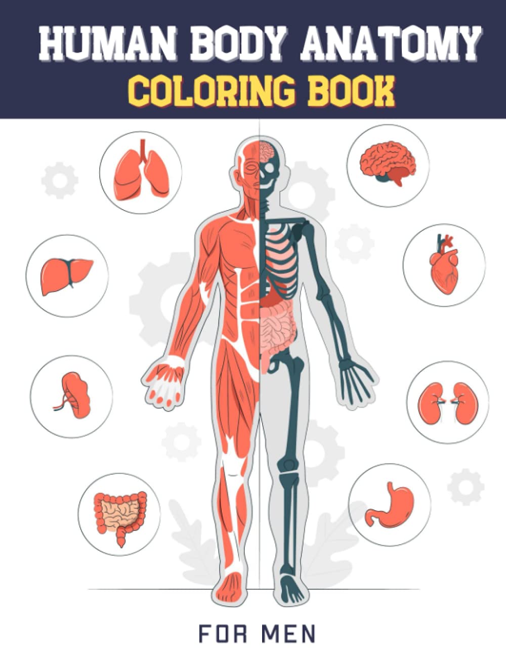 Buy Human Body Anatomy Coloring - 61qSpYdUhOL 