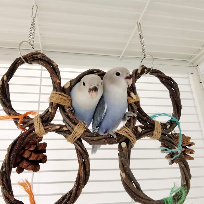 ArinkO Columpio de Madera para Loros con piñas para trepar y Tejer, Ideal para periquitos y cacatúas (Plata)