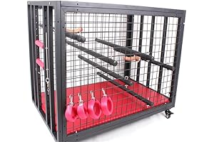 Unleash Your Inner Master: BDSM Bondage Kit for the Most Electrifying Encounters