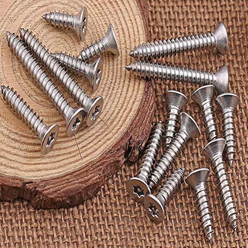 Dreneco 50 Pezzi M3.5 Viti Autofilettanti Torx