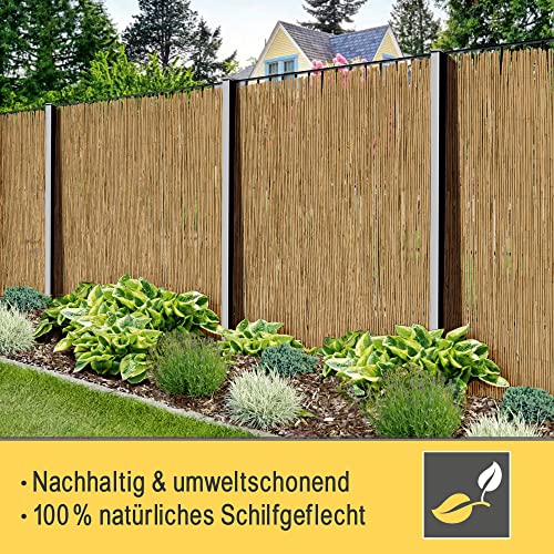 Sol Royal Schilfmatten Sichtschutz Zaun 180x600 cm SolVision S36 – langlebiger & witterungsbeständiger 100% Schilfrohrmatte Indoor & Outdoor für Balkon, Terrasse, Garten – Windschutz & Sonnenschutz