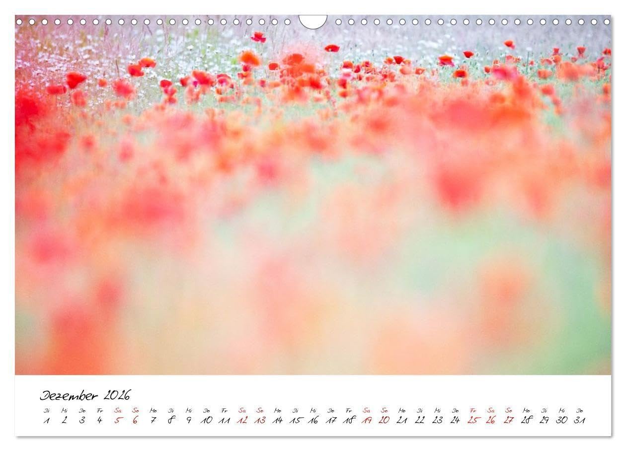Mohnwiesen (Wandkalender 2026 DIN A3 quer), CALVENDO Monatskalender: Jeden Monat ein kleines Farbenspiel: Tauchen Sie ein in die zauberhafte Welt ... und spüren Sie die Leichtigkeit der Natur.