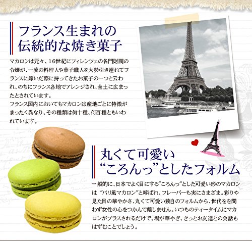 菓匠∞もりん 至高のマカロン 10個入