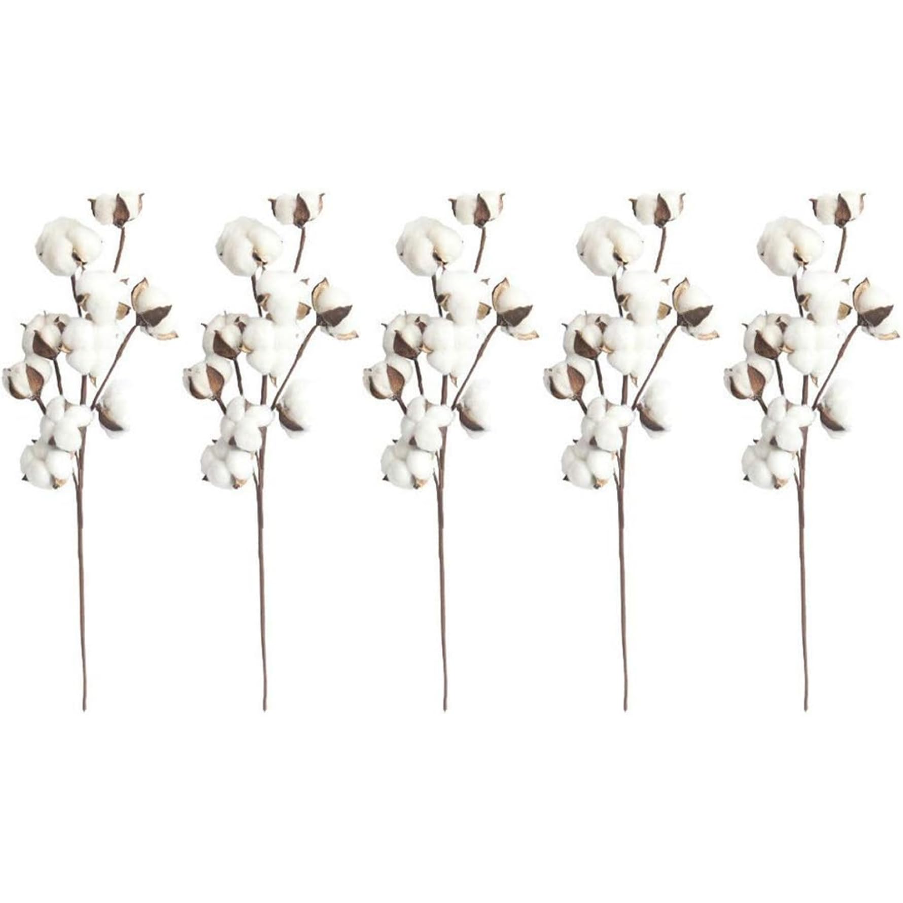 Uanqfegy Cotton Stems - 5Pcs Cotton Flowers Artificial, 20.5 Inch Realistic Branches 10 Head for Home Wedding Farmhouse Party