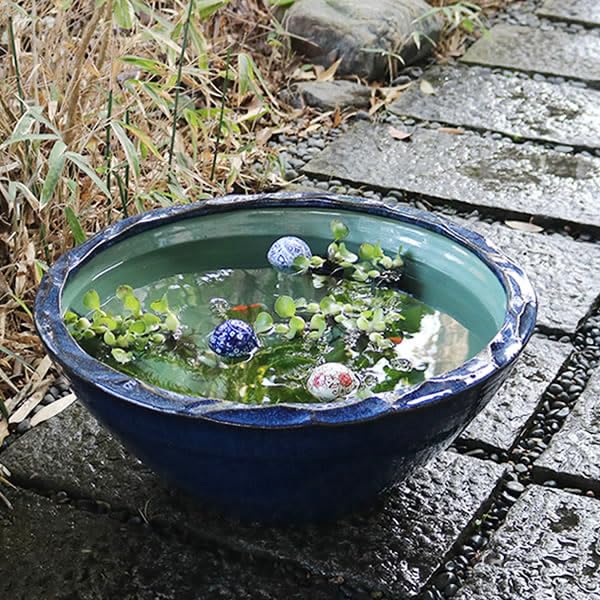 Amazon.co.jp: 信楽焼き 20号ナマコ色水鉢 角型 メダカ鉢 金魚鉢 睡蓮