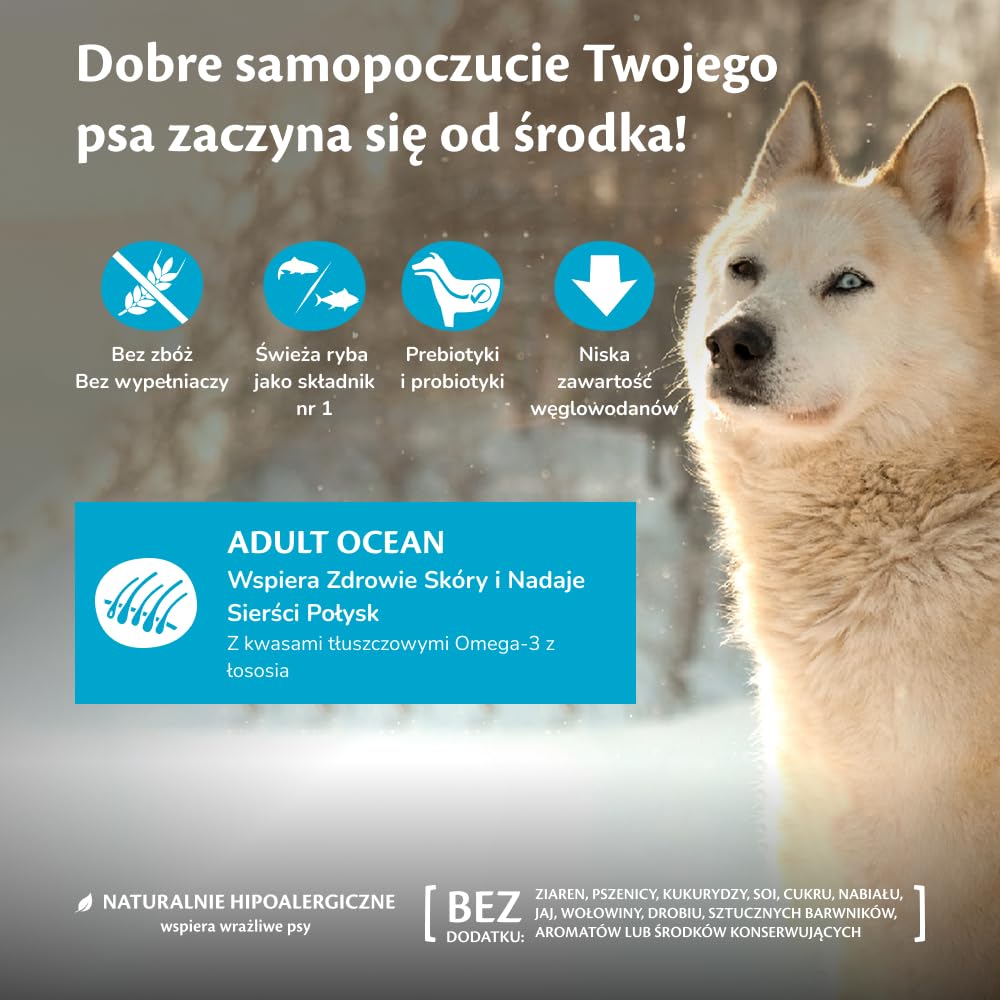 Wellness CORE Ocean 10 kg, Łosoś i Tuńczyk – Sucha Karma dla Psów Średnich i Dużych Ras, Bezzbożowa, Naturalna, Hipoalergiczna, o Wysokiej Zawartości Ryb, Wspiera Zdrową Skórę i Lśniącą Sierść