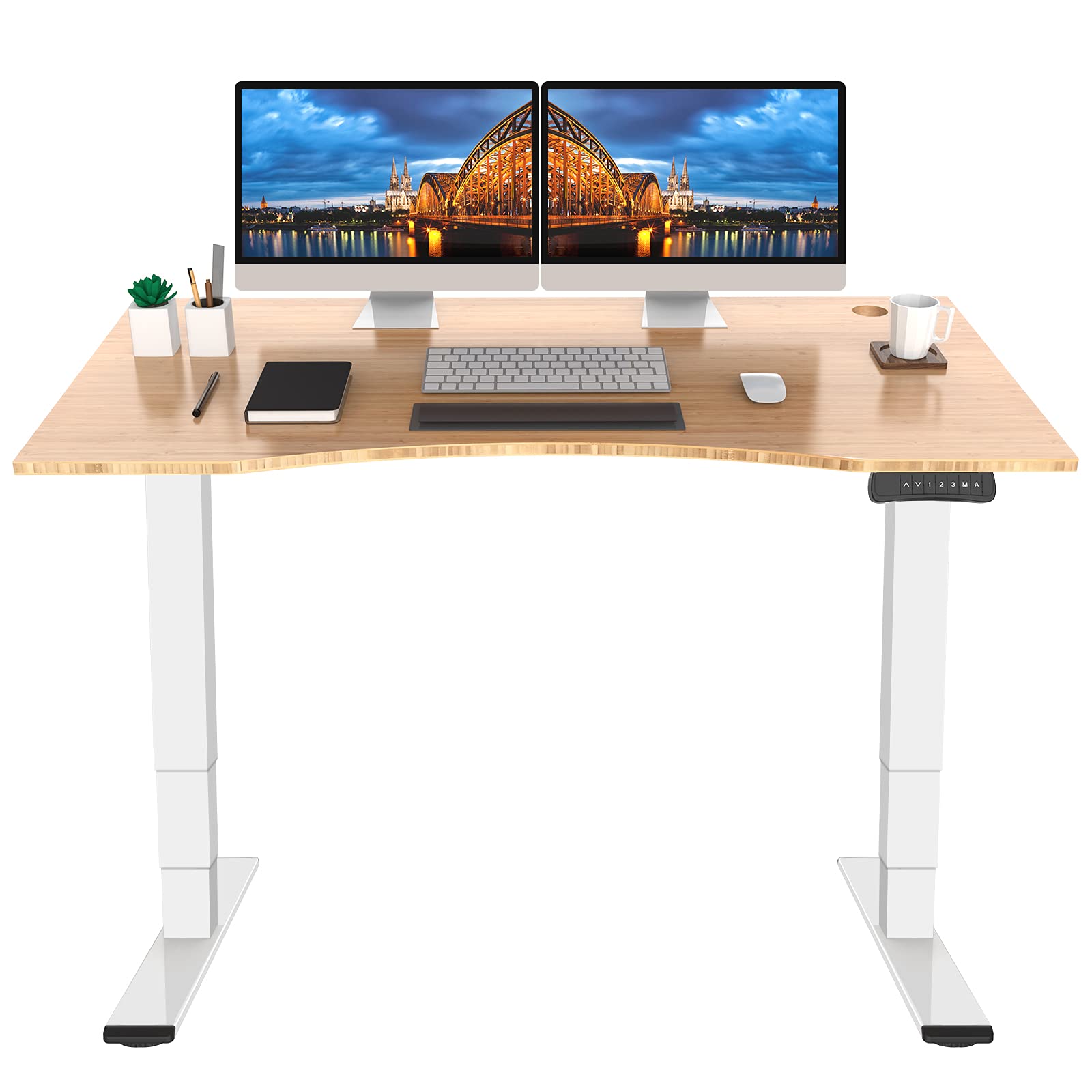 Buy Flexispot EC5 3 Stages Dual Motor Electric Standing Desk 55x28 Inch