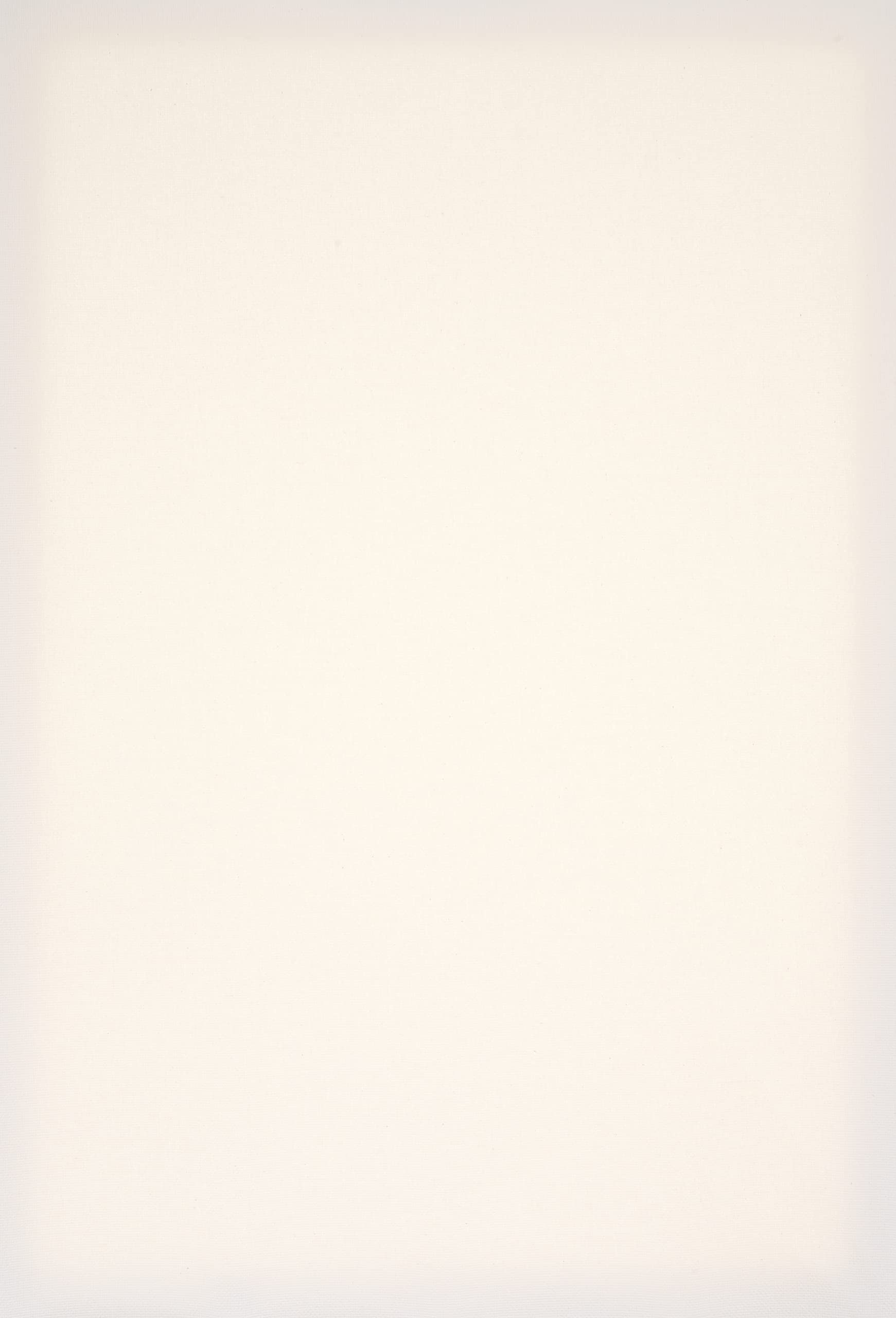 Ponart PTB-35X50 Basics Series - Lienzo (35 x 50 cm)