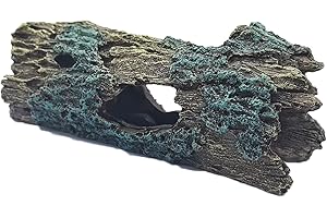 Nature's Hollow: A Natural Sanctuary for Underwater Dwellers