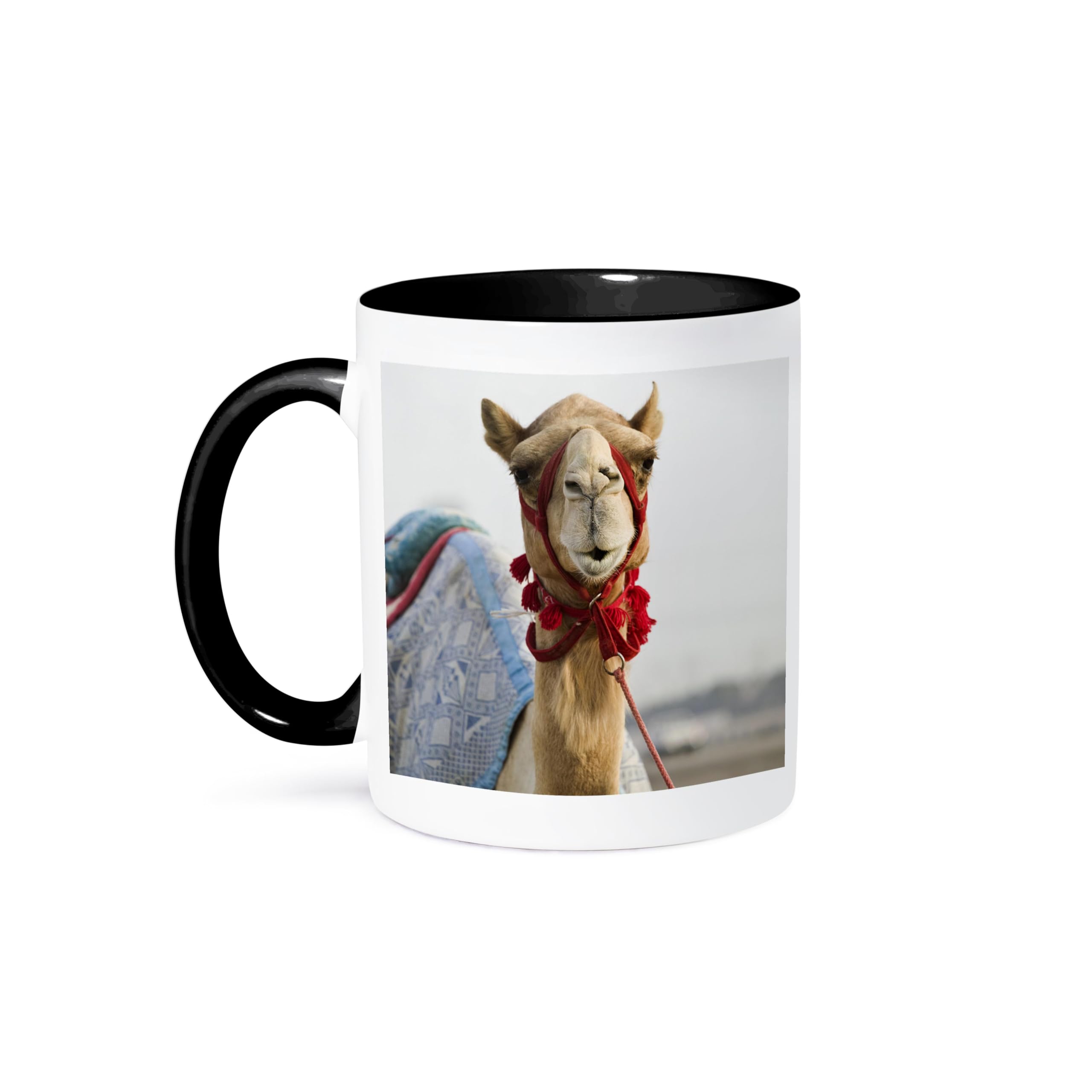 3dRose mug_70914_4 "UAE, Dubai, Al Marqadh. Dubai Camel Racing Track-AS44 WBI0141 - Walter Bibikow" Two Tone Black Mug, 11 oz, Multicolor