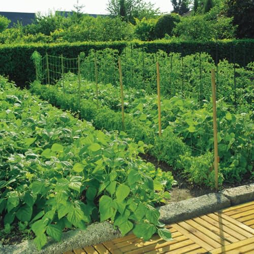 Malla para ENTUTORAR TRELLINET Verde NORTENE 2X10 M