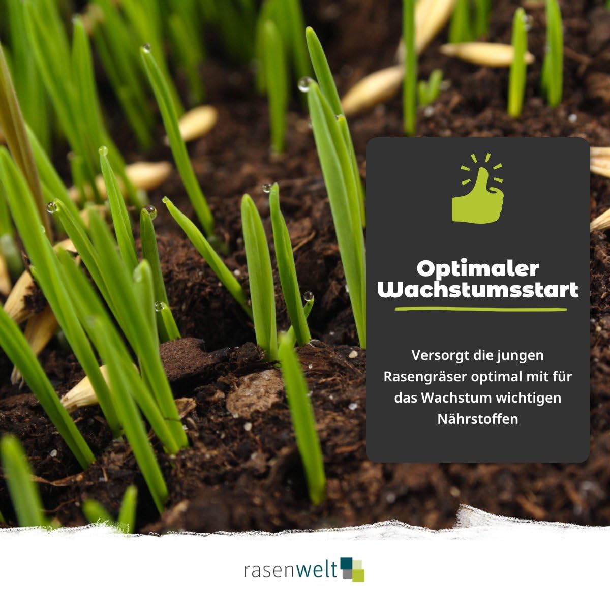 ARENA Rasen Starterdünger 20kg für 650m² Starter 10+15+10