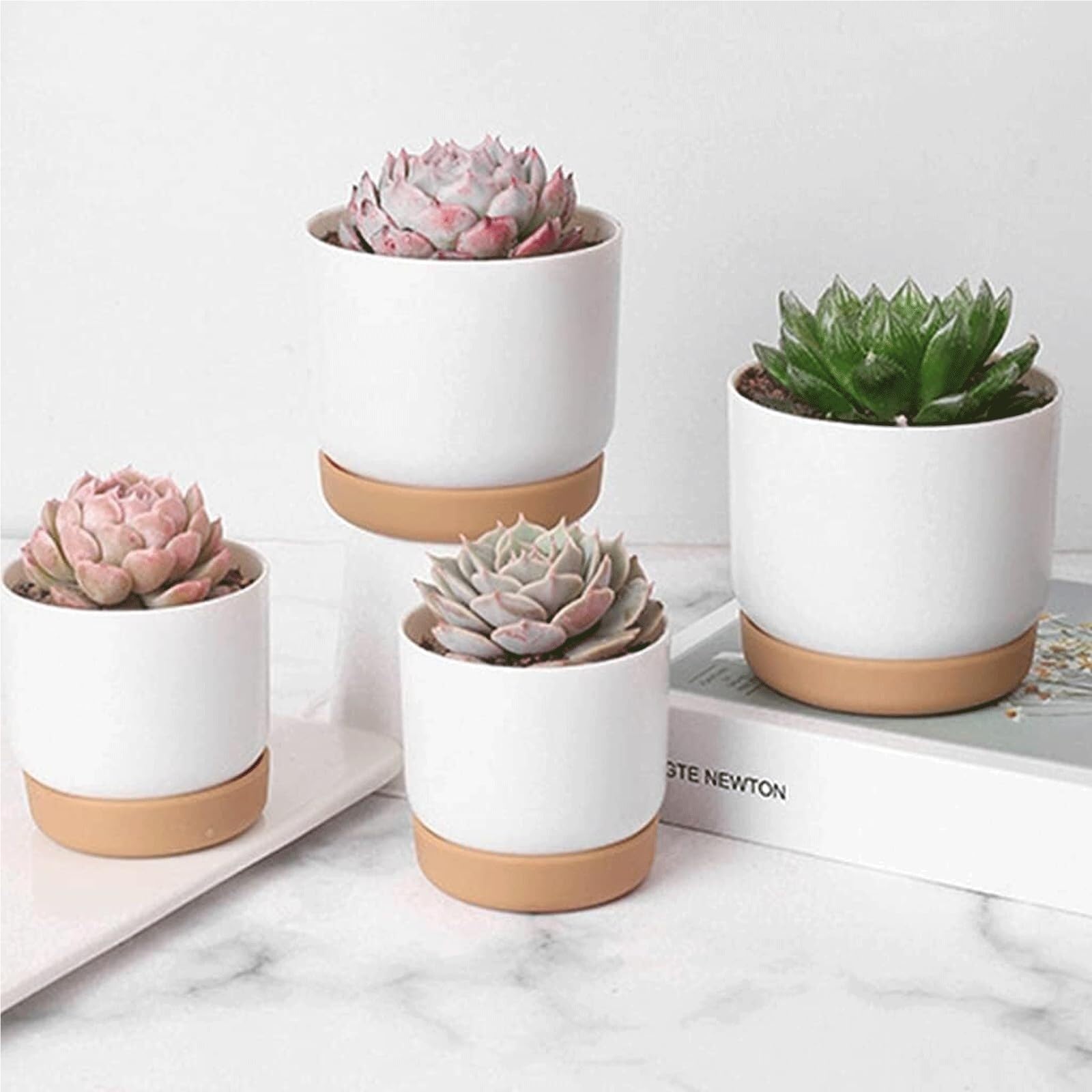 Jardinières décoratives Lot de 2 Pots Fleurs à arrosage Automatique, en Plastique Les indispensables du Jardin(#L)