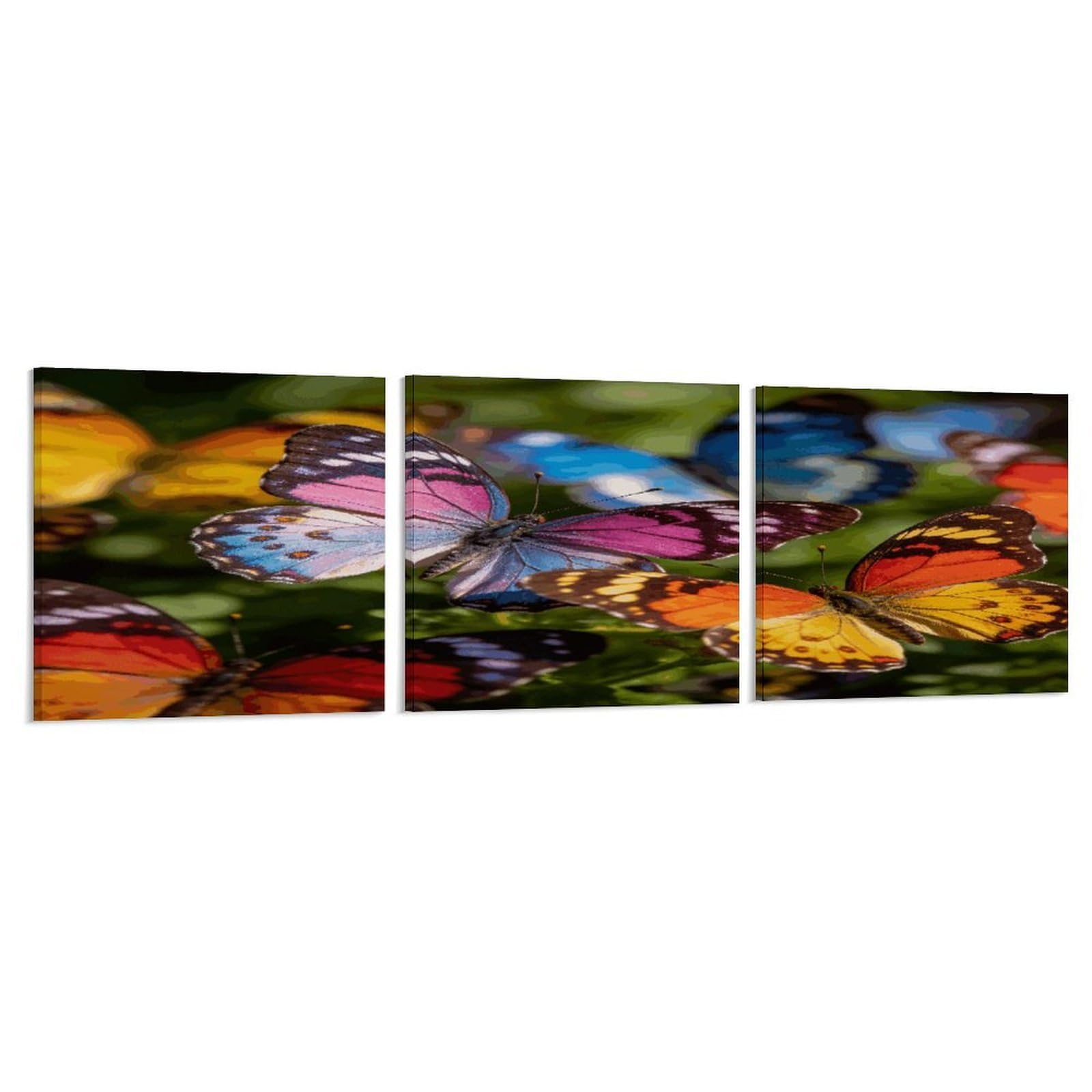 Khauerbc Style Set Of 3 Colorful Butterfly Flowers Wall Art，Paintings Artwork For Living Room, Hallway, Bedroom, Office Wall Decor For Living Room, Hallway, Bedroom, Office Paintings Artwork 8X8 Inch