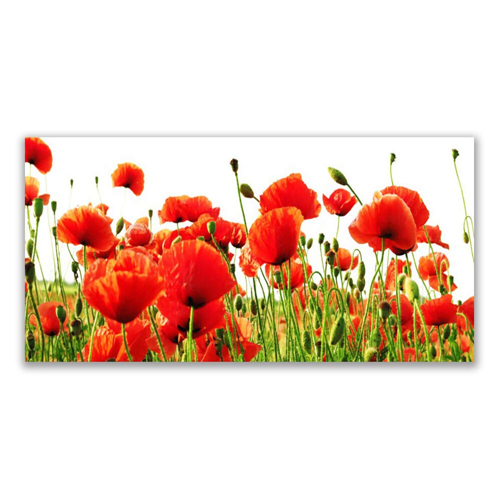 Plastique imprimés tableau mural moderne coquelicots 140x70cm déco design pour salon