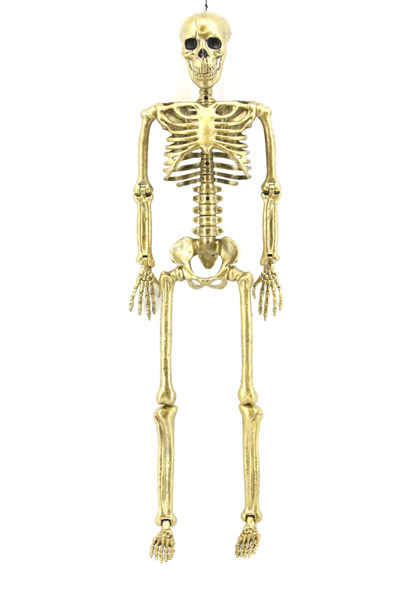 Gold 24" Skeleton Standard