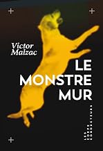 Le monstre mur (French Edition)