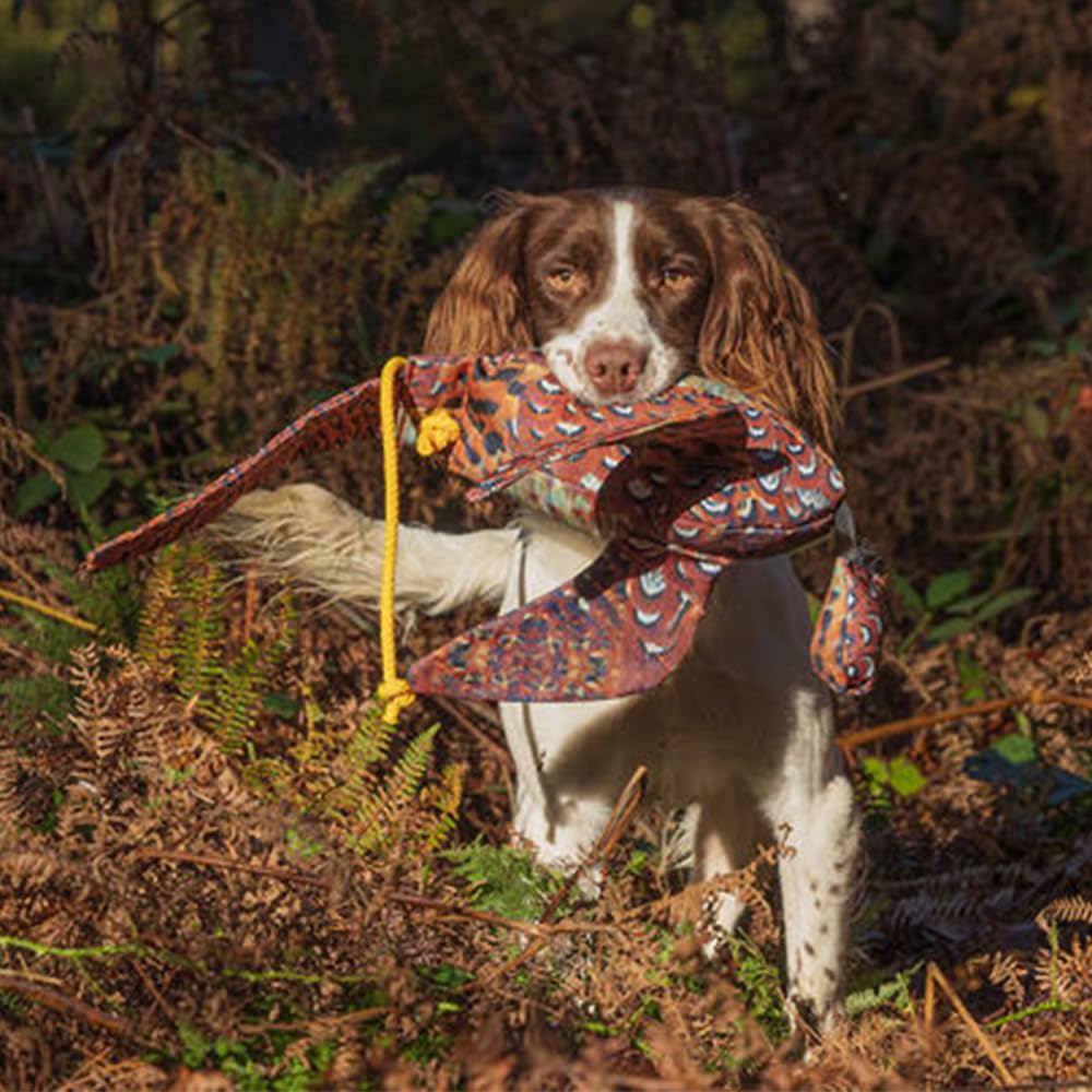 Sporting Saint Dead Bird - Manichino da fagiano realistico con ali e coda, 600 g, galleggiante, per allenamento fittizio e addestramento per cani da caccia
