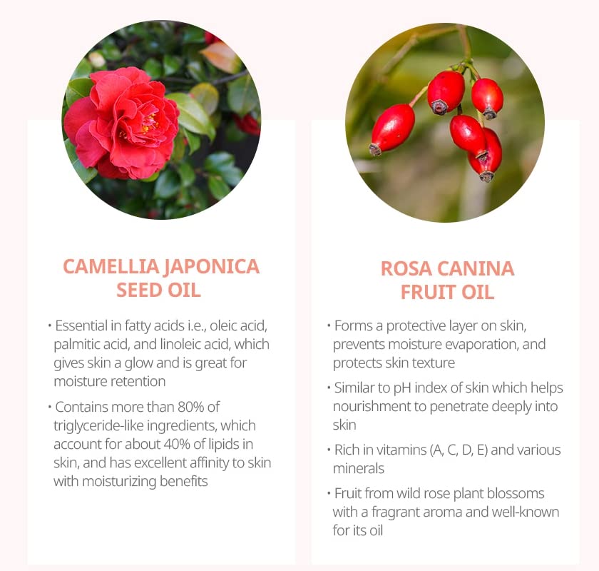 Miniatura 8 de ZEESOON Adelica Lip Rouge Satin (0.32oz 0.3 oz) para un color Atomy de larga duración, hidratante, reconforta e hidrata lápiz labial para mujer