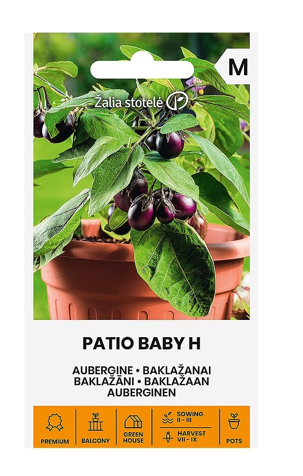 Zalia Stotele | Pepinillos - ALPAKA H semillas | Semillas de hortalizas | Semillas de Pepinos| Semillas de plantas | Semillas de jardín |Un híbrido temprano, crecimiento y autopolinizante |1 paquete Zalia Stotele | Pepinillos - ALPAKA H semillas | Semillas de hortalizas | Semillas de Pepinos| Semillas de plantas | Semillas de jardín |Un híbrido temprano, crecimiento y autopolinizante |1 paquete