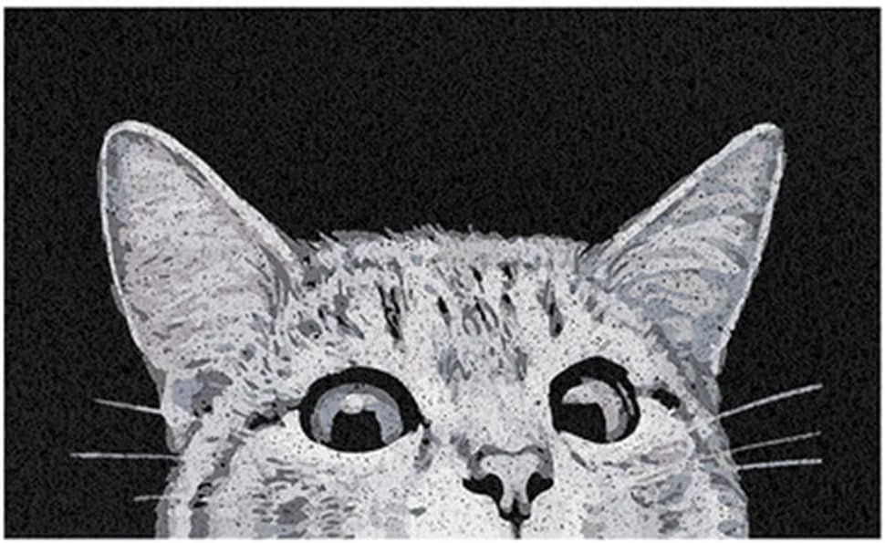 Cat Entrance Door Mat Out of doors Mud Absorbent, 45×75cm Welcome Mat for Indoor & Out of doors, Doormat Entrance Mat Rug Exterior Patio/Inside Entry Approach, Anti-Slip Mats Rubber Backing, Sturdy & Washable (Black)