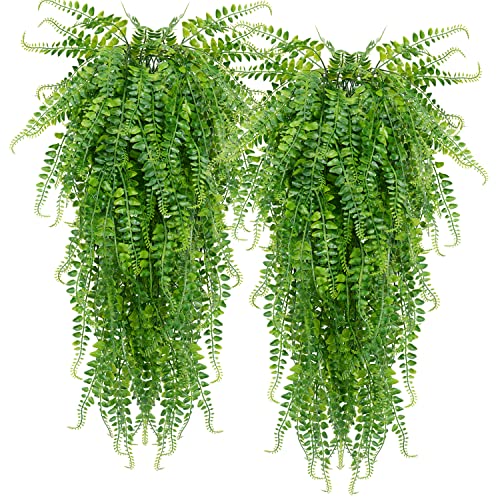 Top 10 Hanging Plants For Porch of 2022 Katynel
