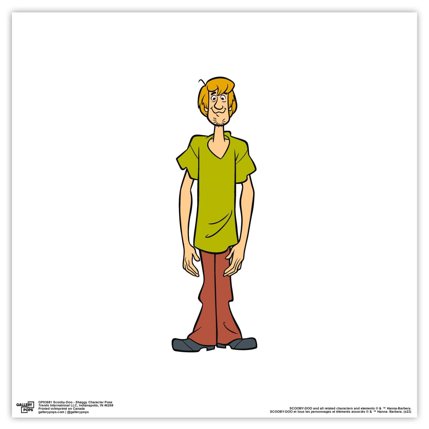 Trends International Gallery Pops Scooby-Doo - Shaggy Character Pose Wall Art, Unframed Version, 12" x 12"