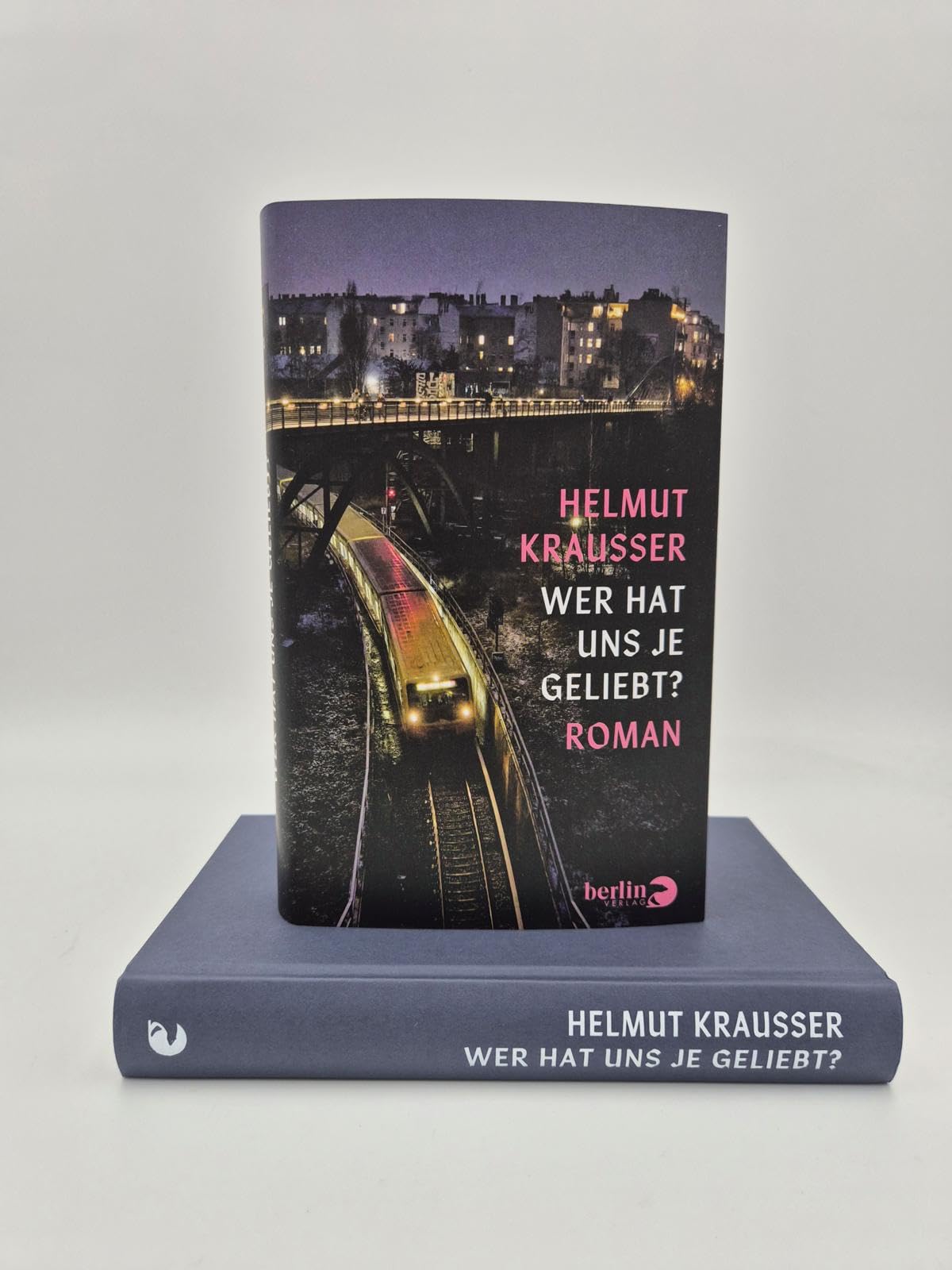 Wer hat uns je geliebt?: Roman | Eine aberwitzige Geschichte aus dem Berlin der Gegenwart