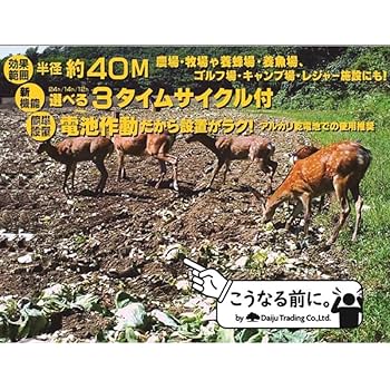 シカ ICX Controller 9194416 9239568 9212078 For Hitachi ZAX70-1