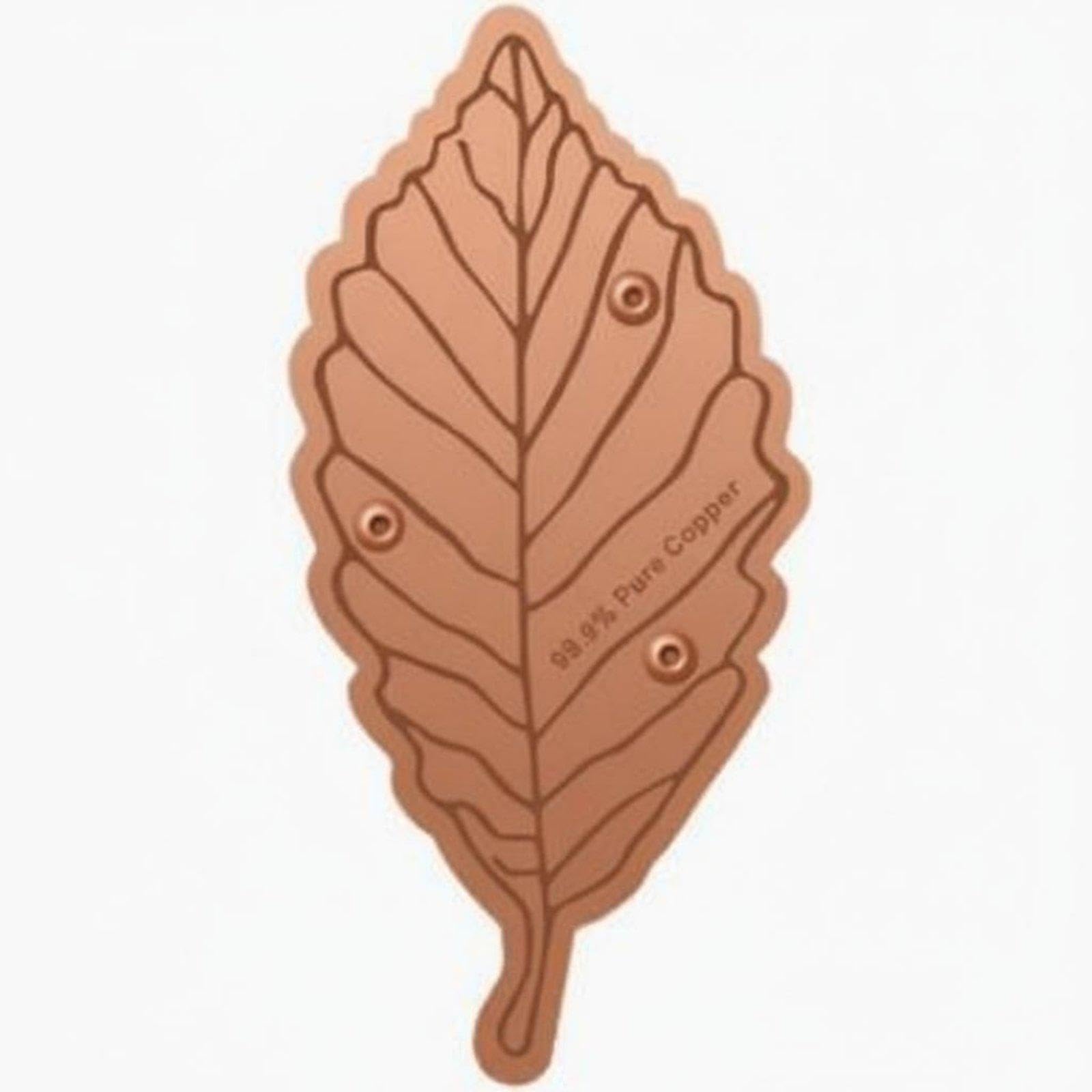 Bird Bath Disk Birdbath Purification Disc Easy to Place Copper Cleaning Disk Style E | Birdbaths | Bird & Wildlife Accessories | Yard, Garden & Outdoor Living-image-11