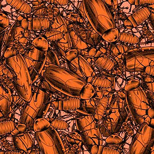 Pulling Teeth & Shin To Shin