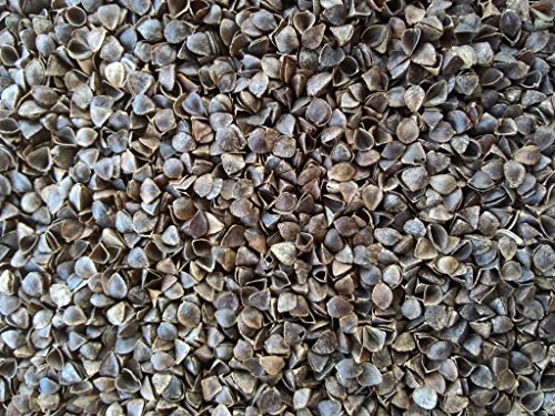 Image of Buckwheat Hulls Pillow | Standard Size | 15 inch x 25 inch inch | Pillow for Neck Pain | Shoulder Pain | Back Pain | Other Sleeping Problem | (Cream)