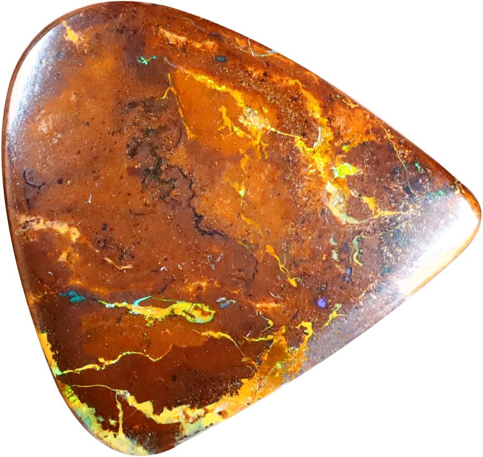 3 サンゴの化石 亀 大 天然石 菊目石 珊瑚 コラール 縁起物 魔除け 1