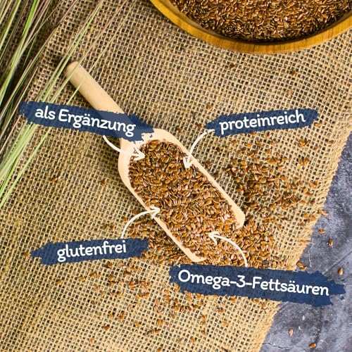 Lyra Pet® 10 kg Leinsamen in 30 L Tonne | Reich an Omega-3-Fettsäuren, Ballaststoffen & Proteinen | Ergänzungsfutter für Wildvögel | Nährstoffreiches, Ganzjähriges Vogelfutter | Ideal für Streufutter